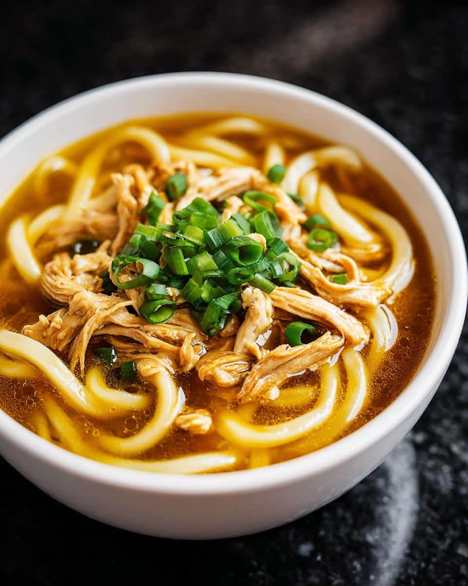 Chicken Udon Soup - detail 3